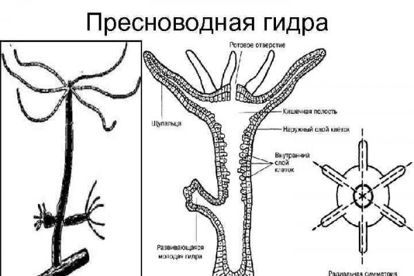 Кракен маркетплейс krk market com