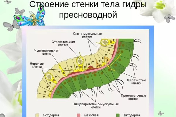 Зеркало kraken krakens16