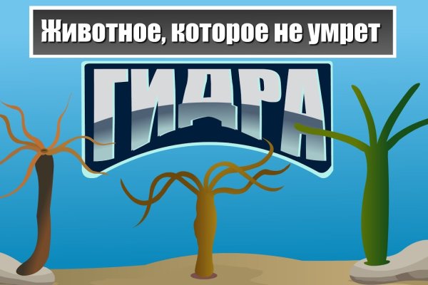 Кракен тор kr2web in